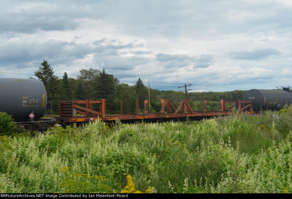 CN 44262